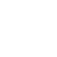 Online Shop Icon