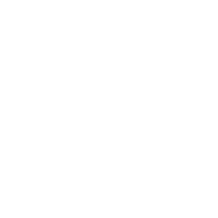 Website Design & Management